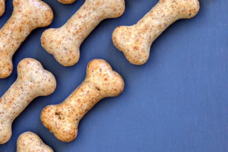 מזון וחטיפים לכלבים כי גם להם מגיע